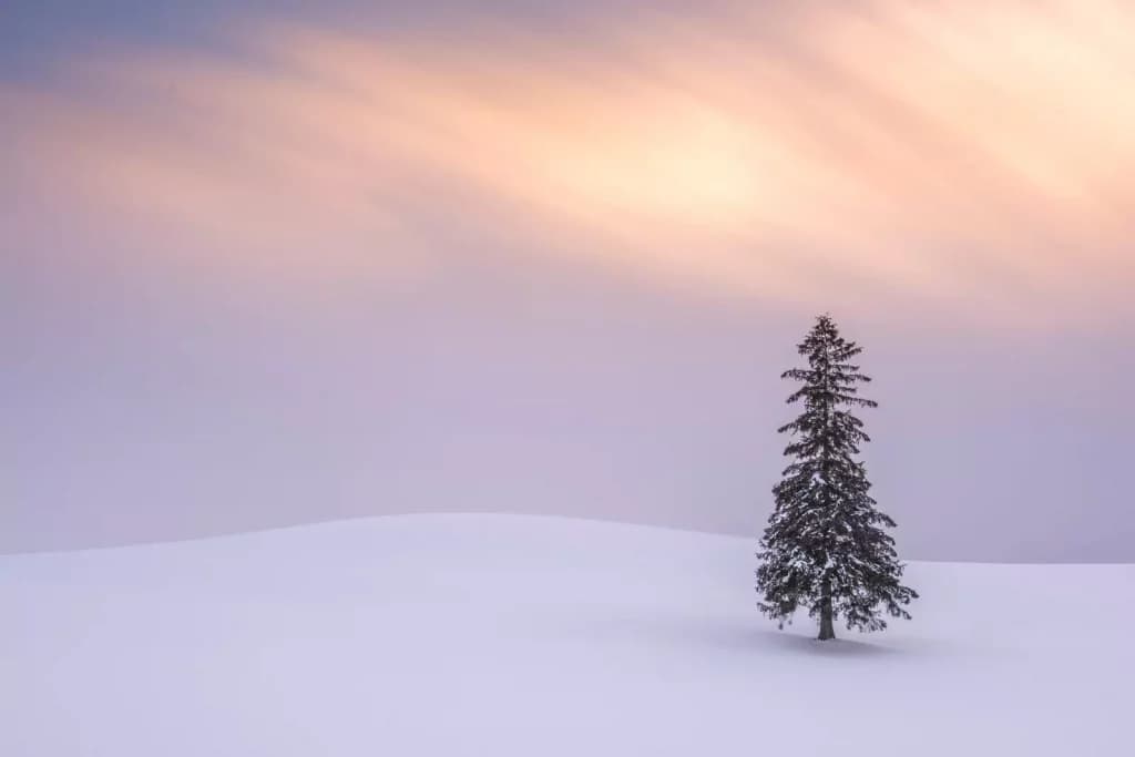 Minimalist winter landscape in Hokkaido