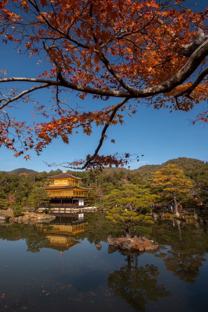 Golden Pavilion framed by autumn maple leaves, Kyoto