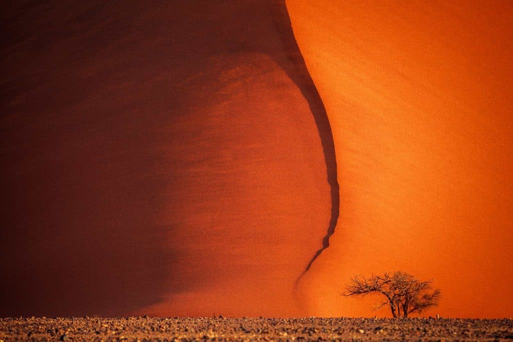 Namib Desert dunes, Namibia